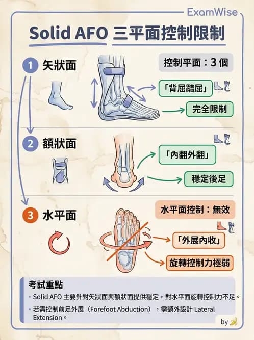 物治 - 裝具與矯具 - AI 圖文解析預覽