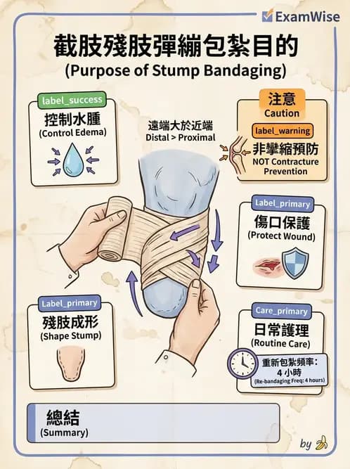 物治 - 義肢 - AI 圖文解析預覽