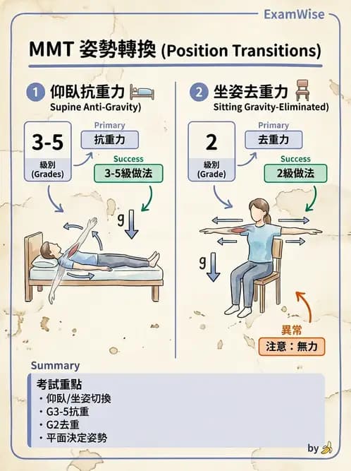 物治 - MMT通則、頭頸與軀幹 - AI 圖文解析預覽