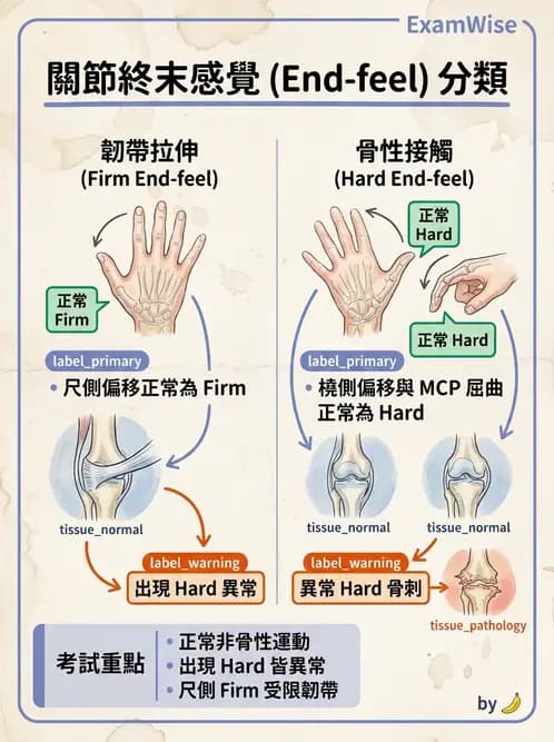 物治 - ROM通則與關節運動 - AI 圖文解析預覽