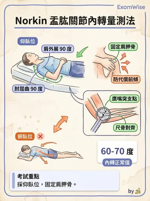 物治 - 上肢關節活動度 - AI 圖文解析預覽
