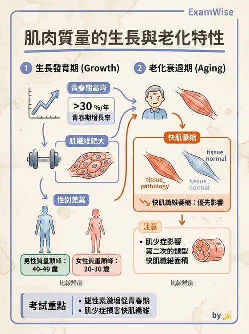 物治 - 肌力訓練方法 - AI 圖文解析預覽