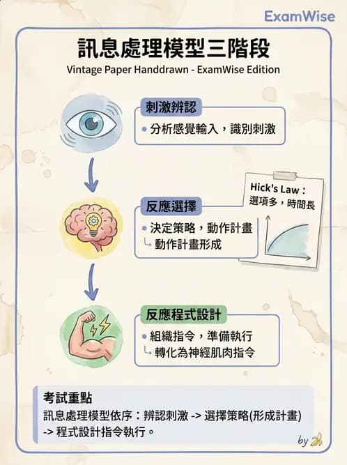 物治 - 動作控制理論 - AI 圖文解析預覽