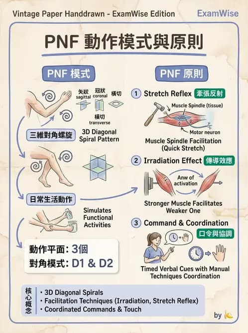 物治 - 神經治療學派技術 - AI 圖文解析預覽
