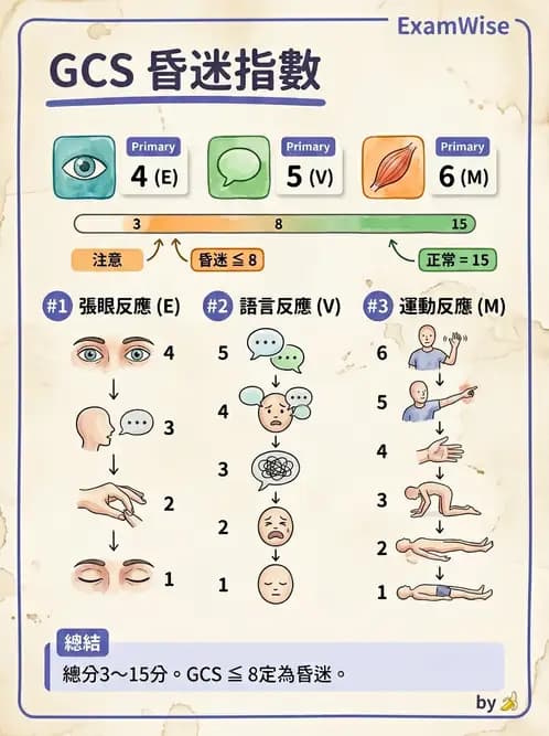 物治 - TBI病理評估與GCS - AI 圖文解析預覽