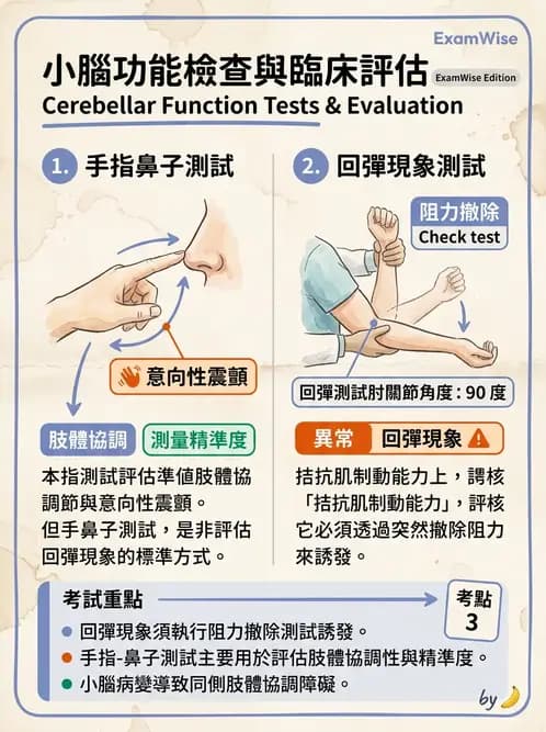 物治 - 神經物理治療評估工具 - AI 圖文解析預覽