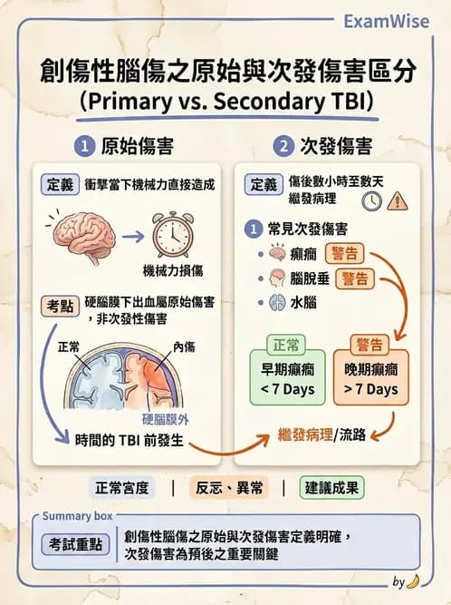 物治 - TBI病理評估與GCS - AI 圖文解析預覽