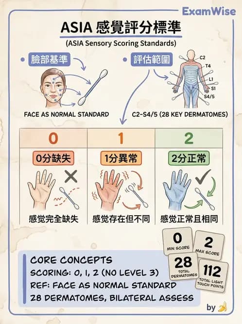 物治 - SCI評估分類與症候群 - AI 圖文解析預覽