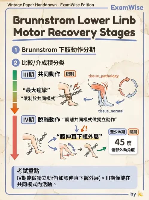 物治 - 腦中風動作評估與分期 - AI 圖文解析預覽