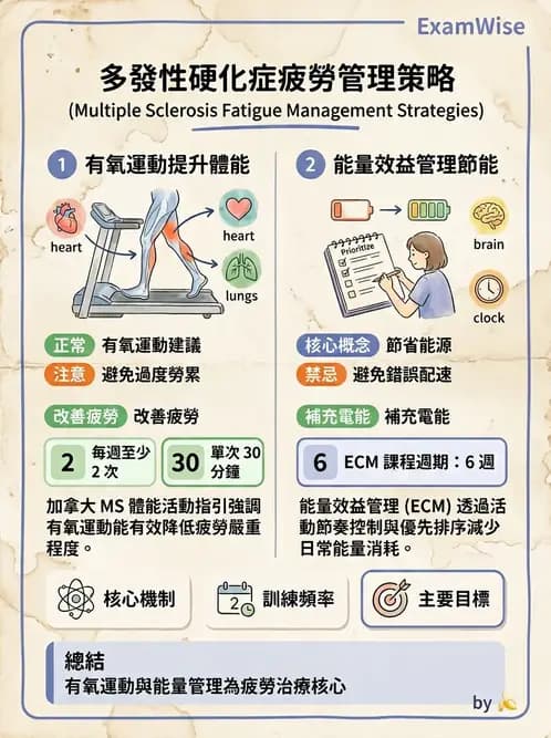 物治 - 多發性硬化症物理治療 - AI 圖文解析預覽