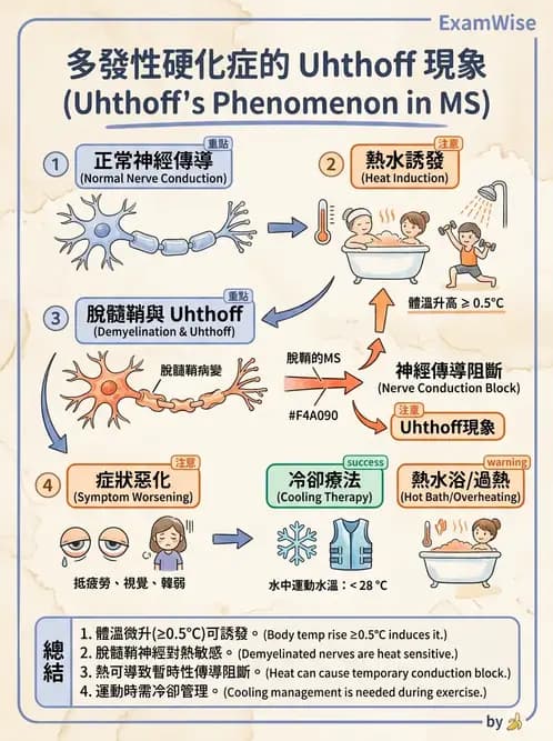 物治 - 多發性硬化症物理治療 - AI 圖文解析預覽