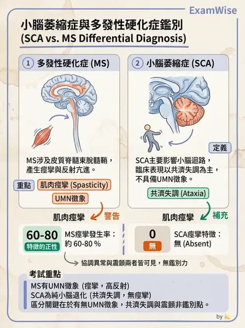 物治 - 小腦疾病物理治療 - AI 圖文解析預覽