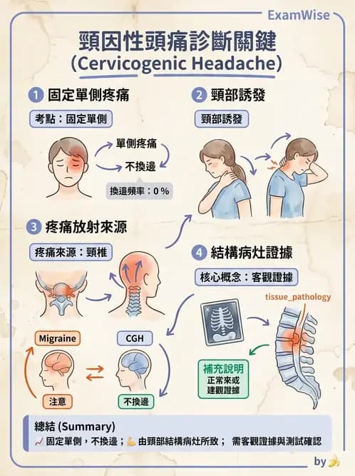 物治 - 頸椎評估與病理 - AI 圖文解析預覽
