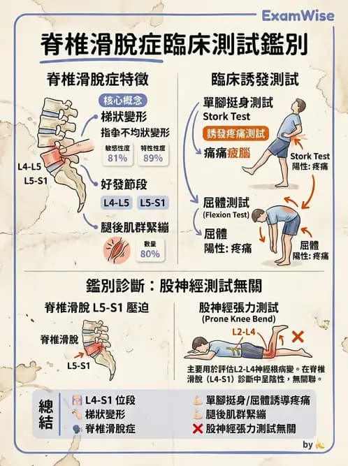 物治 - 腰椎椎間盤與脊椎狹窄 - AI 圖文解析預覽