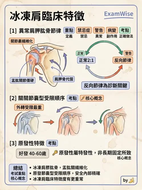 物治 - 冰凍肩與胸廓出口症候群 - AI 圖文解析預覽