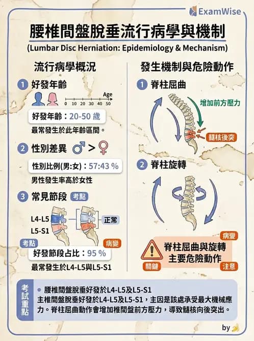 物治 - 腰椎椎間盤與脊椎狹窄 - AI 圖文解析預覽