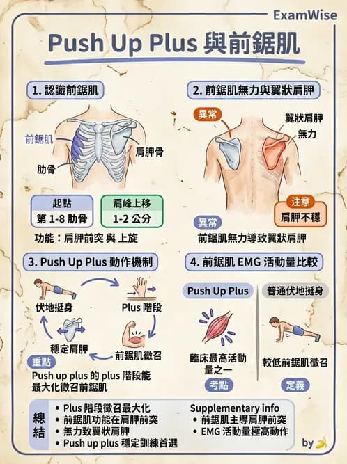 物治 - 肩胛生物力學與神經損傷 - AI 圖文解析預覽