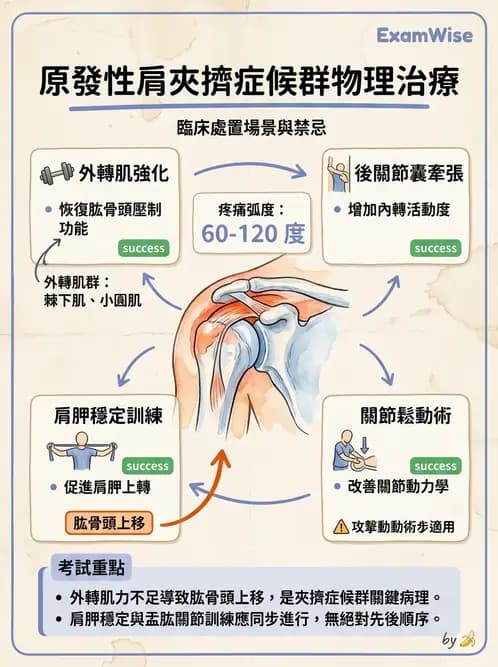 物治 - 肩關節夾擠與旋轉肌袖 - AI 圖文解析預覽