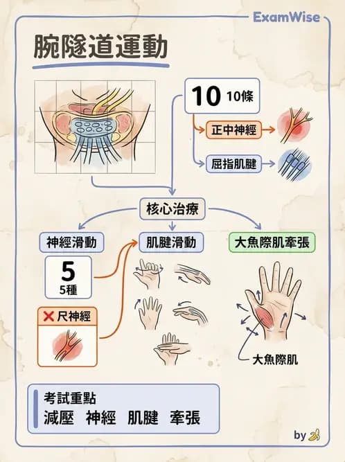 物治 - 腕關節疾病 - AI 圖文解析預覽