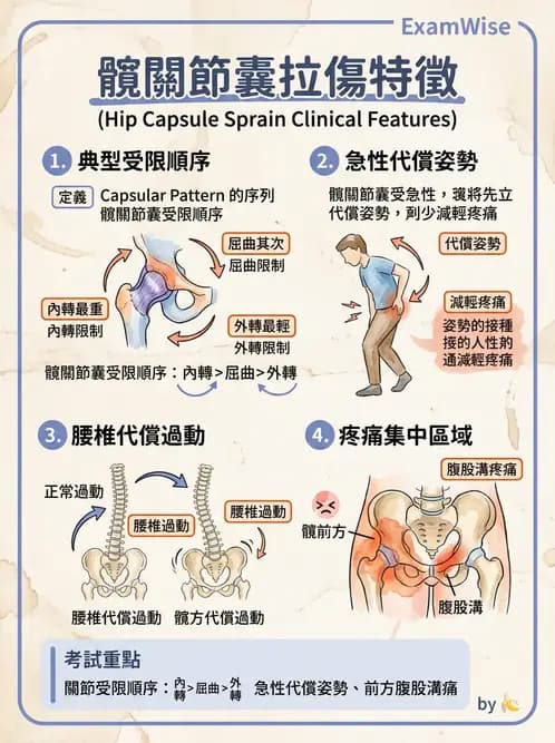 物治 - 髖關節病變與手術復健 - AI 圖文解析預覽