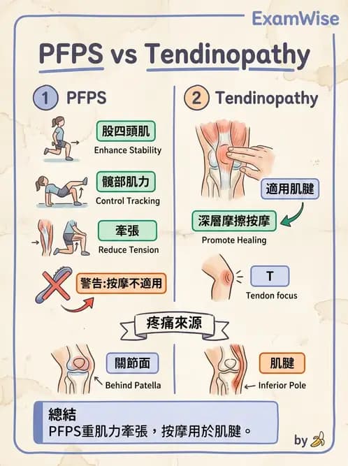物治 - 髕股關節疼痛與伸展機制 - AI 圖文解析預覽