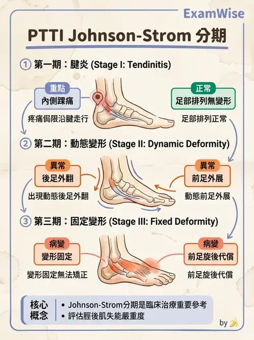 物治 - 足部病變與輔具評估 - AI 圖文解析預覽