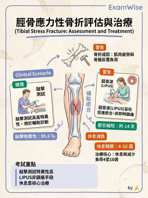 物治 - 踝關節損傷與復健 - AI 圖文解析預覽
