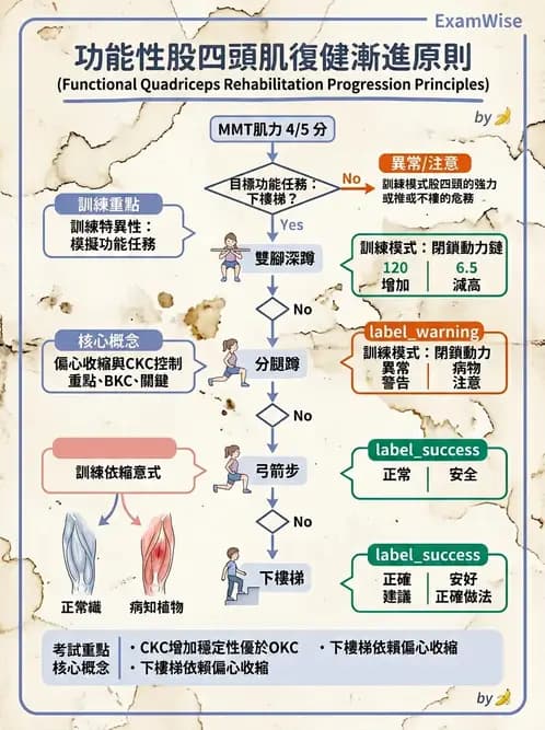 物治 - 膝關節生物力學與退化性疾病 - AI 圖文解析預覽