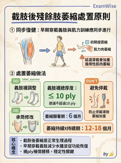 物治 - 截肢 - AI 圖文解析預覽