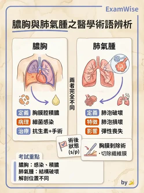物治 - 胸腔手術、肺移植與呼吸器 - AI 圖文解析預覽