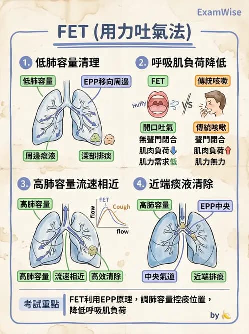 物治 - 氣道廓清與呼吸訓練技術 - AI 圖文解析預覽