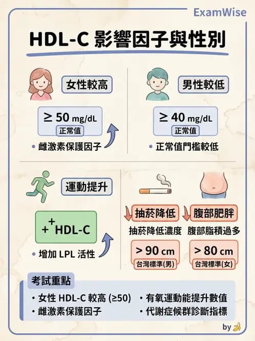 物治 - 運動生理學與能量代謝 - AI 圖文解析預覽