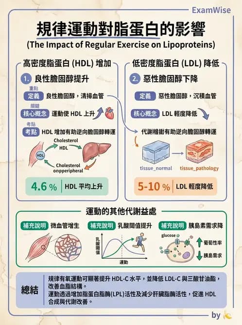 物治 - 運動生理學與能量代謝 - AI 圖文解析預覽