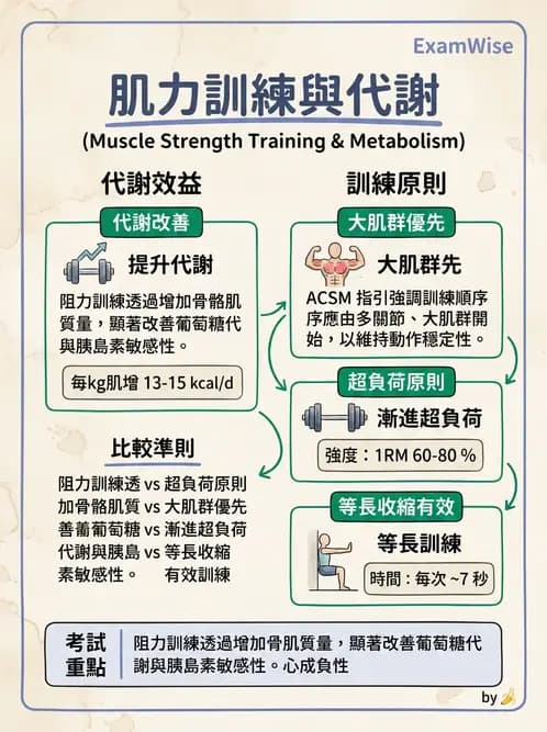 物治 - 運動篩檢與處方設計 - AI 圖文解析預覽