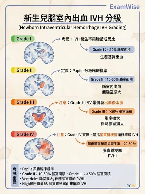 物治 - 新生兒與嬰兒發展評估 - AI 圖文解析預覽