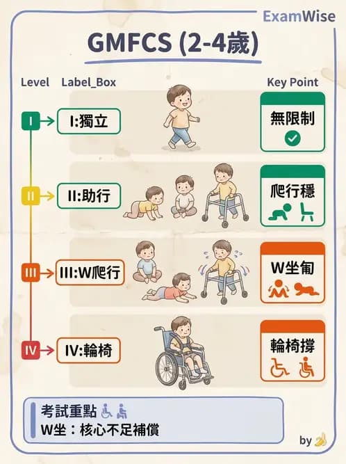 物治 - 腦性麻痺分類、評估與步態 - AI 圖文解析預覽