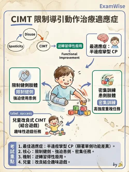物治 - 腦性麻痺介入、手術與輔具 - AI 圖文解析預覽