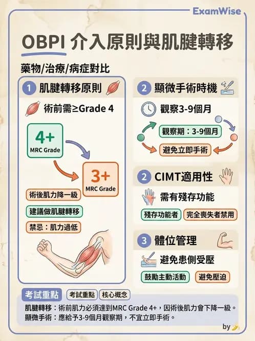 物治 - 小兒肌肉骨骼疾患物理治療 - AI 圖文解析預覽
