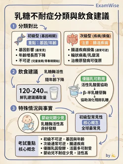 營養 - 醣類消化吸收與血糖調控 - AI 圖文解析預覽