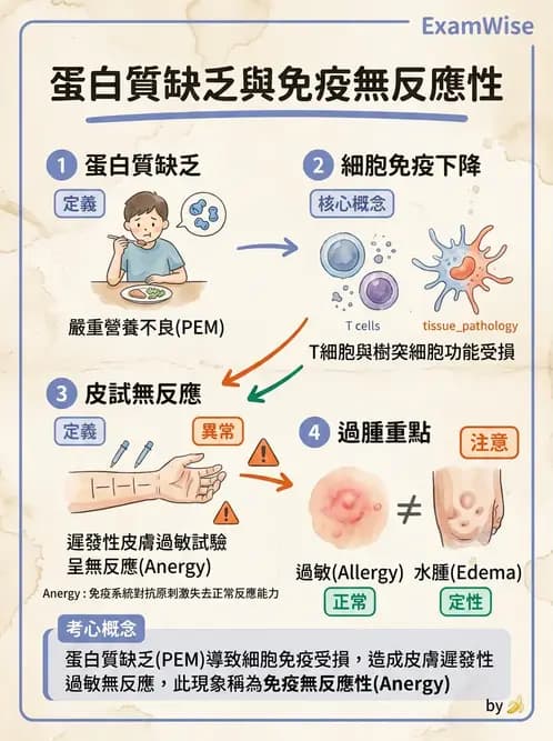 營養 - 蛋白質結構、功能與需求量 - AI 圖文解析預覽