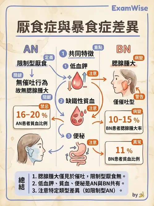 營養 - 體重管理與攝食異常 - AI 圖文解析預覽