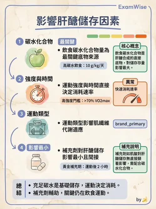 營養 - 當代營養學相關議題 - AI 圖文解析預覽