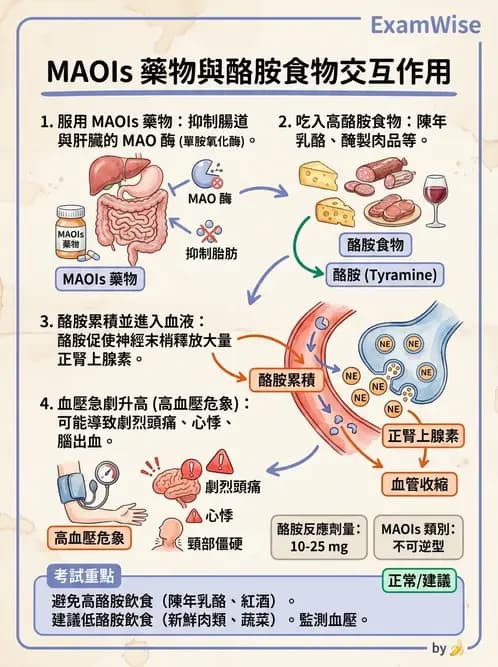 營養 - 藥物與營養素交互作用 - AI 圖文解析預覽