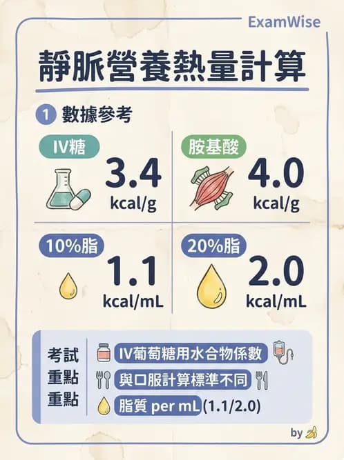 營養 - 營養支持 - AI 圖文解析預覽