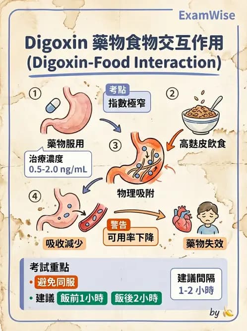 營養 - 藥物與營養素交互作用 - AI 圖文解析預覽