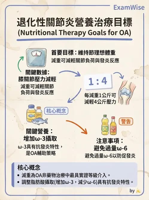 營養 - 骨骼與關節疾病 - AI 圖文解析預覽
