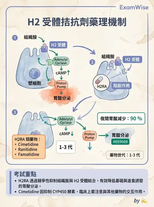 營養 - 腸胃道疾病 - AI 圖文解析預覽
