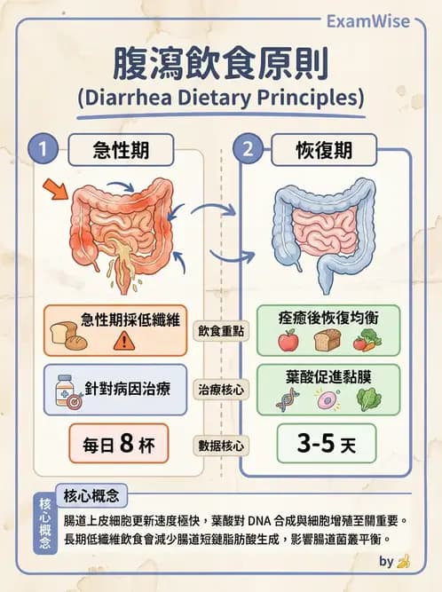 營養 - 腸胃道疾病 - AI 圖文解析預覽