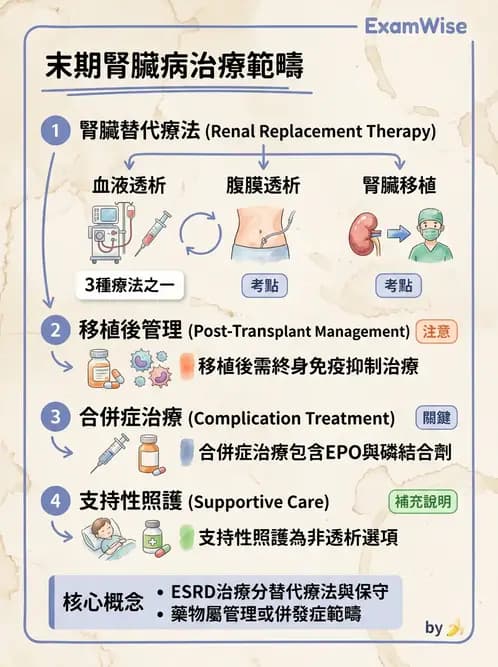 營養 - 腎臟疾病飲食治療 - AI 圖文解析預覽