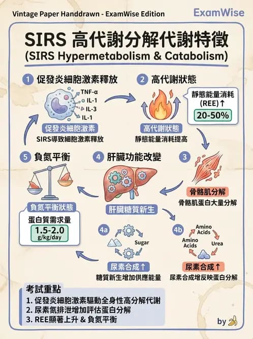 營養 - 重症一般營養照護 - AI 圖文解析預覽